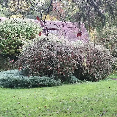 Les Riflets Alojamento de Acomodação e Pequeno-almoço Conches-en-Ouche
